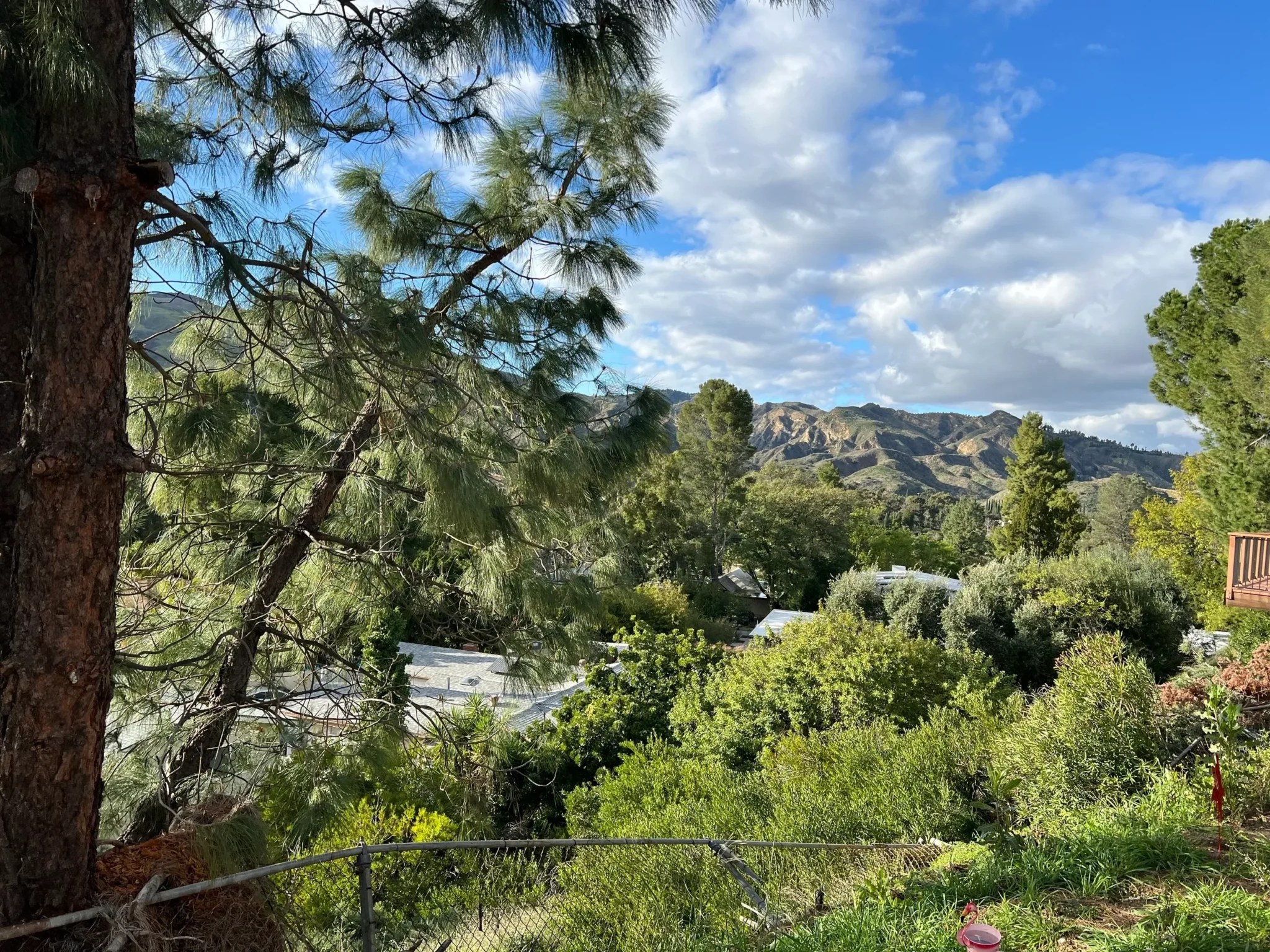 rs=w 2560,h 1920 (25)